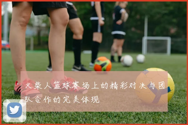 火柴人篮球赛场上的精彩对决与团队合作的完美体现