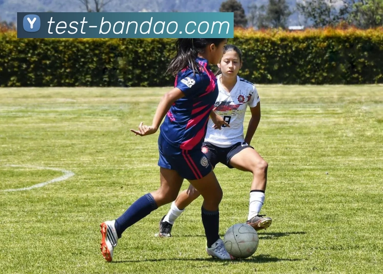 半岛体育官方网站APP 高清赛事图